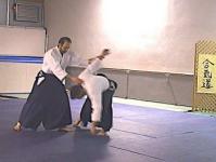 Kaiten nage
